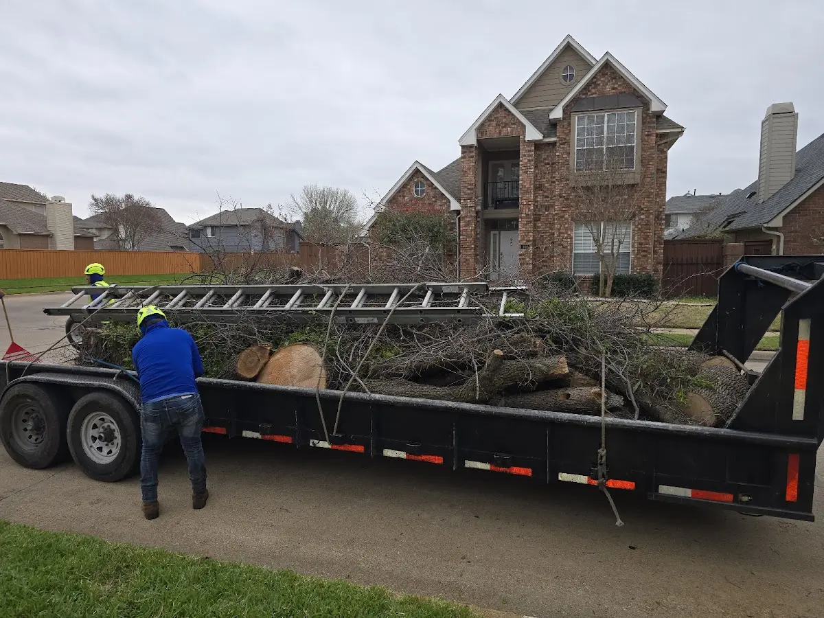Expert Tree Pest Control with proper safety equipment in Perkins